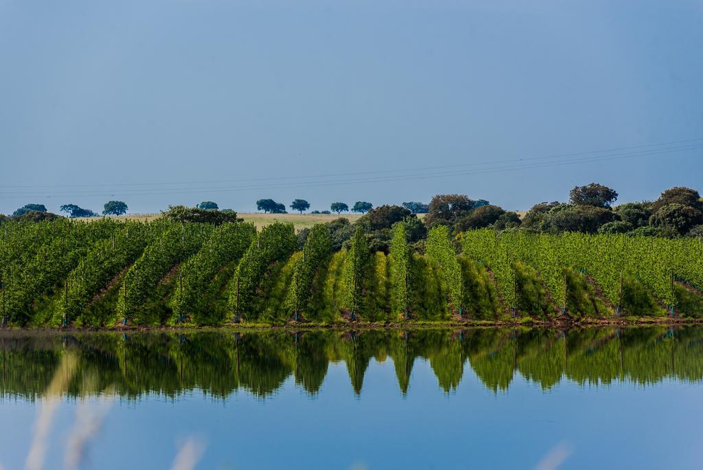 Готель Vila Gale Alentejo Vineyard - Clube De Campo Алберноа Екстер'єр фото