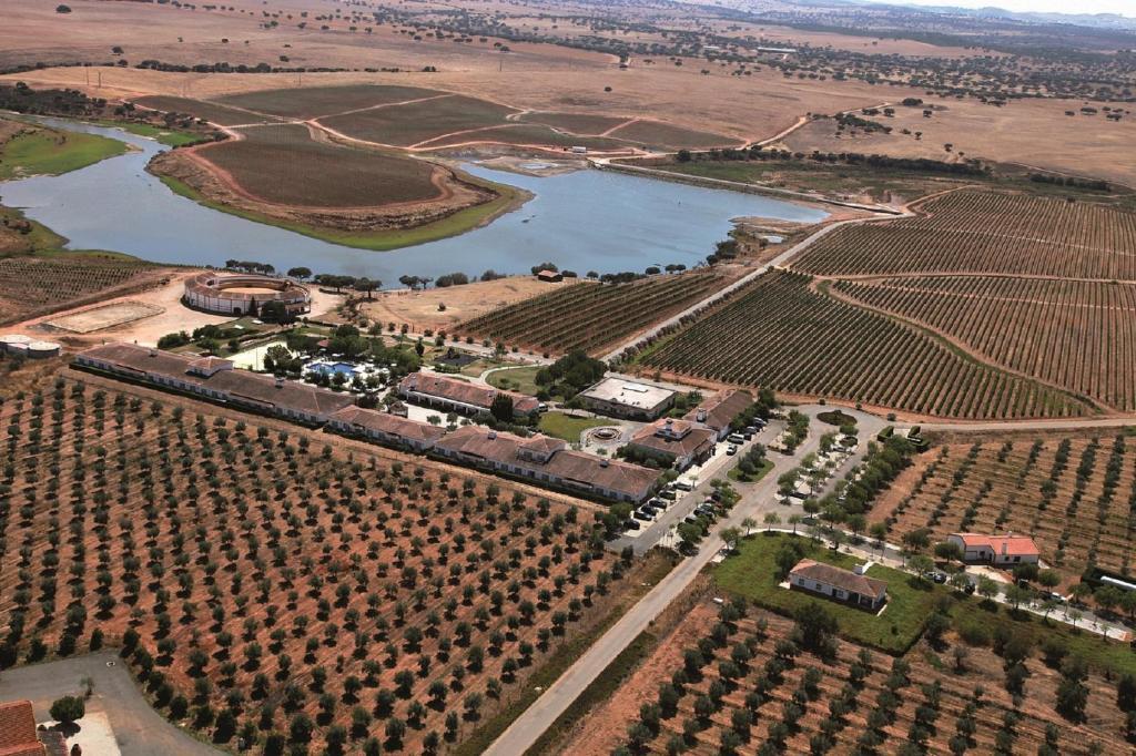 Vila Gale Alentejo Vineyard - Clube De Campo Алберноа Екстер'єр фото